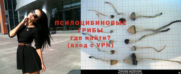 бутират Арсеньев