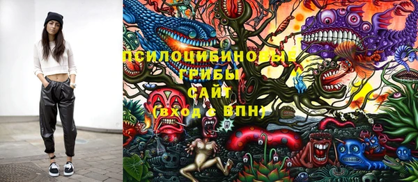 дмт Баксан
