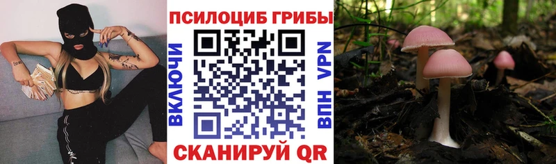 Галлюциногенные грибы мухоморы  Вятские Поляны 