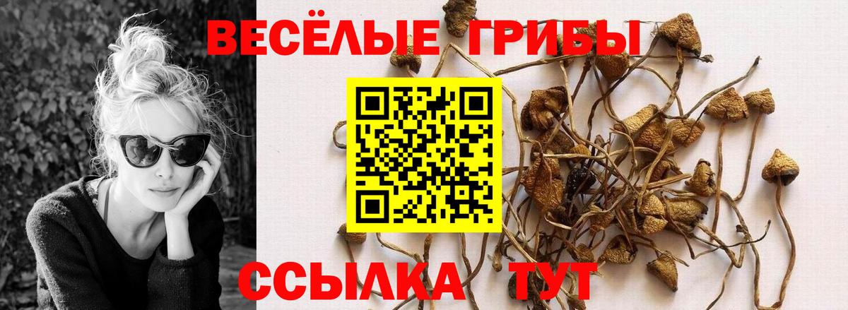 Галлюциногенные грибы ЛСД  цены   Вход с VPN  Вятские Поляны  Галлюциногенные грибы Magic Shrooms 